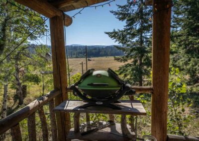 AP Ranch exterior Image of Cozy Canadian Cabin BBQ area.