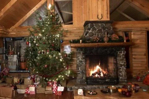 AP RANCH | Wilderness Lodge Est. 1986